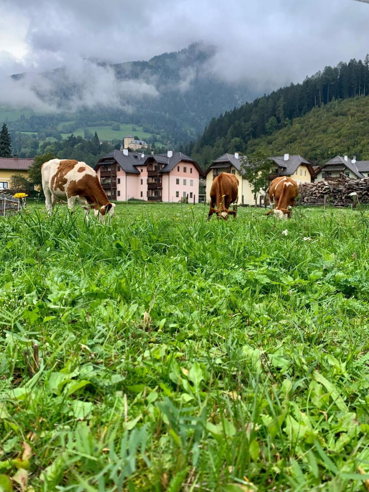 Panorama Apartments Semslach Obervellach Exterior photo